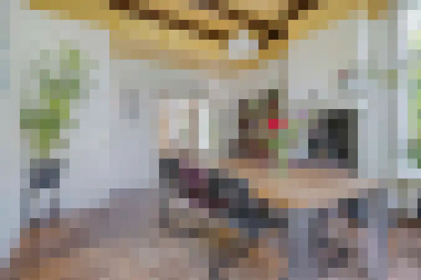 Beilerweg 38 Hooghalen thumbnail 17