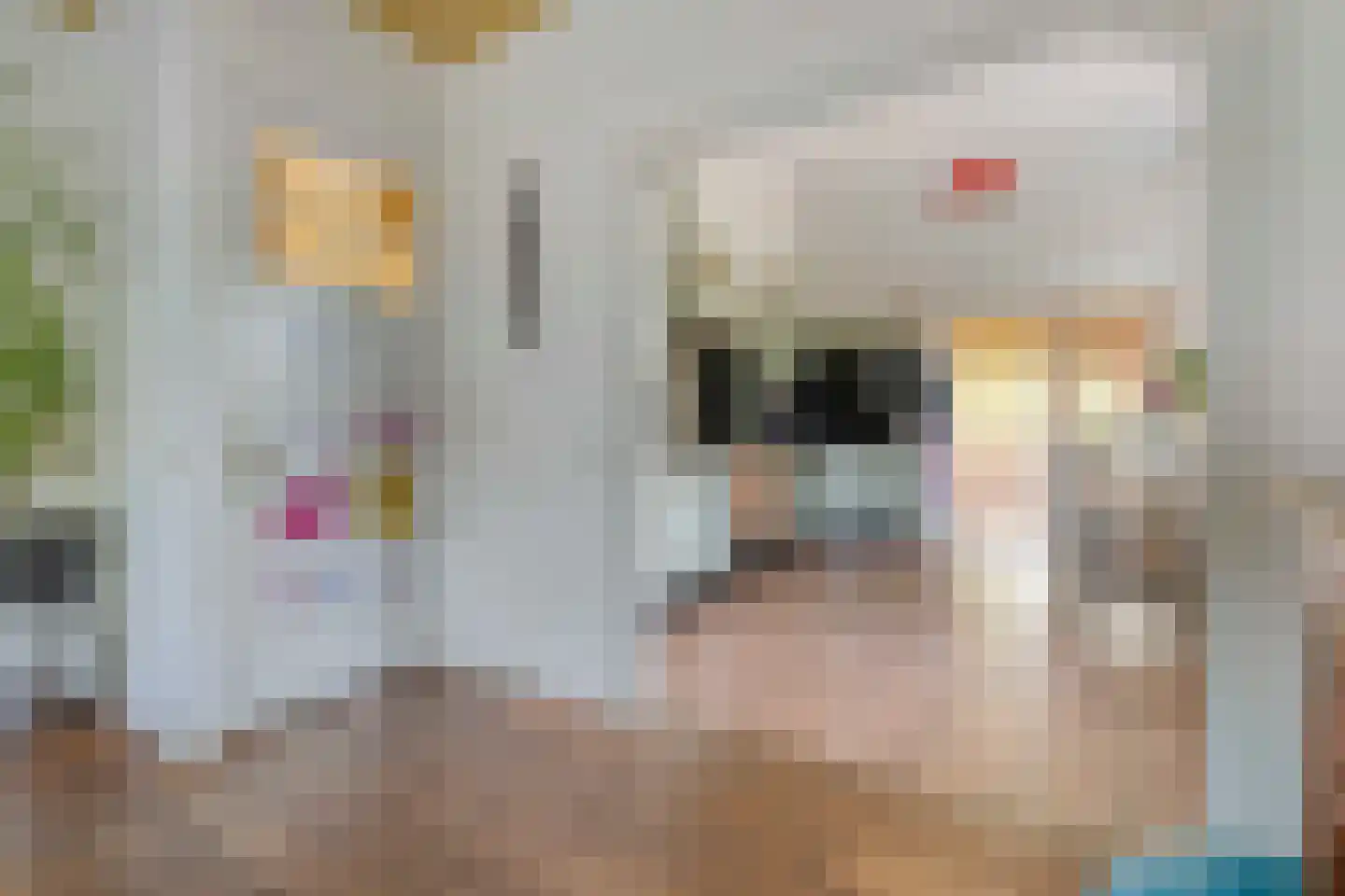 Beilerweg 38 Hooghalen thumbnail 18