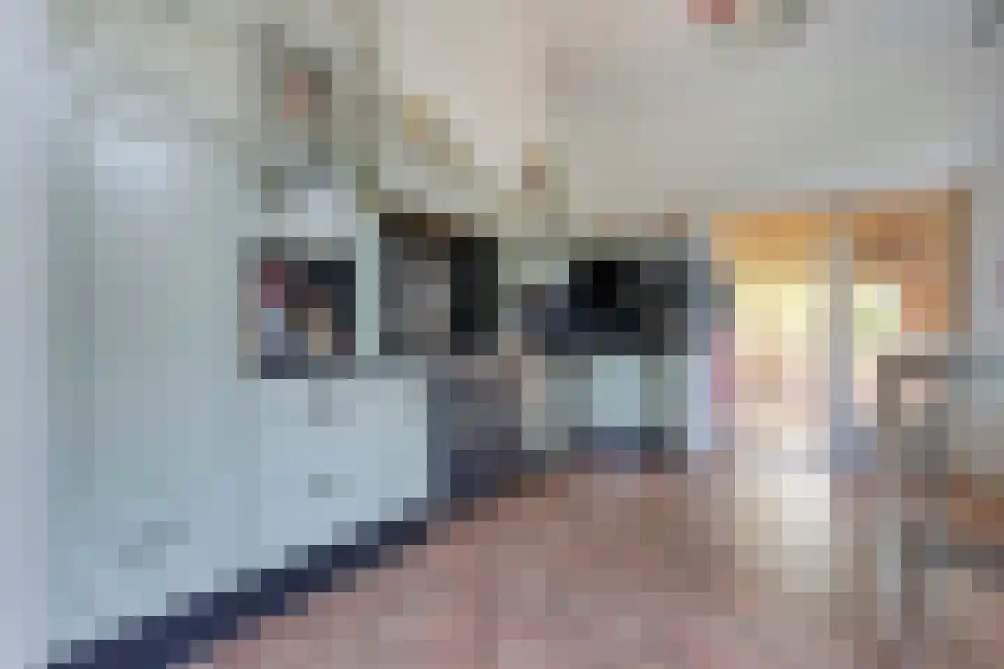 Beilerweg 38 Hooghalen thumbnail 19