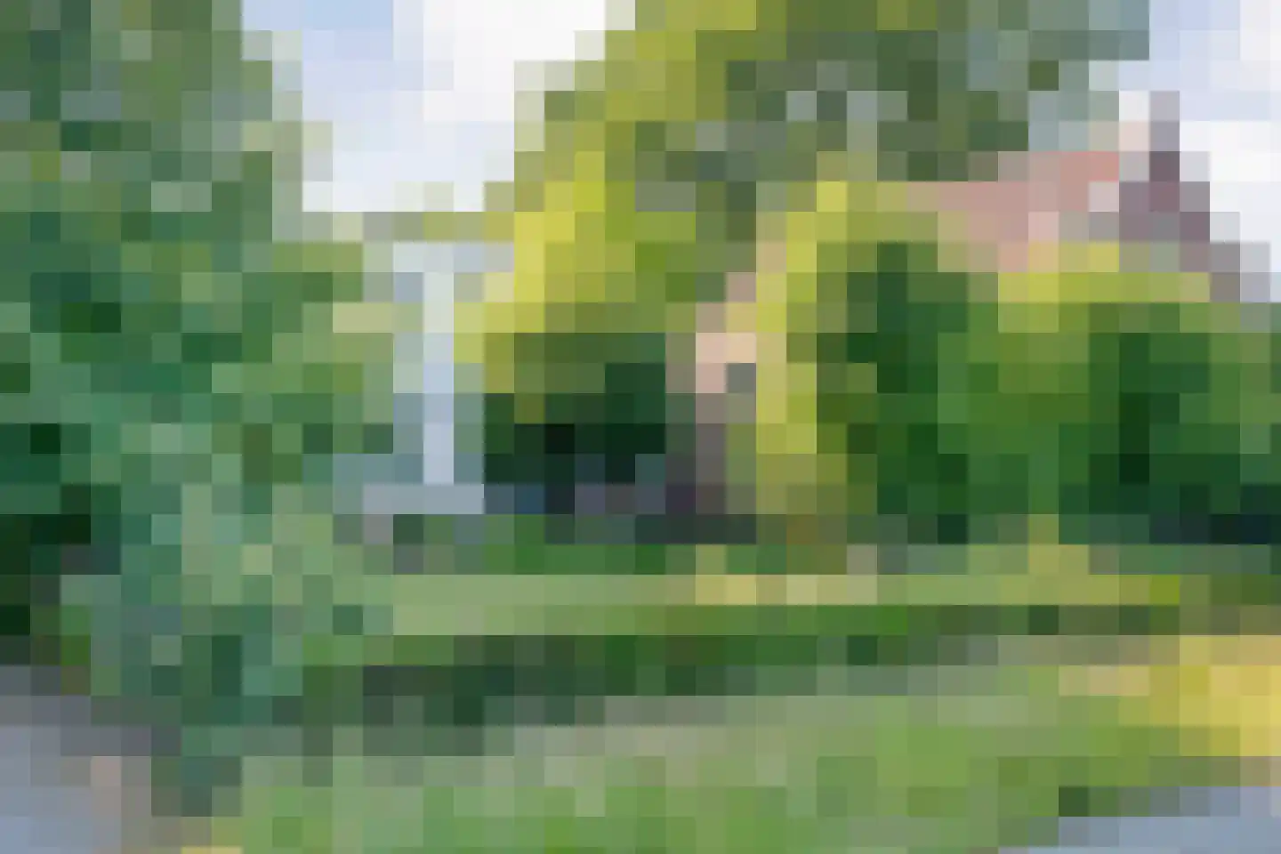 Beilerweg 38 Hooghalen thumbnail 4