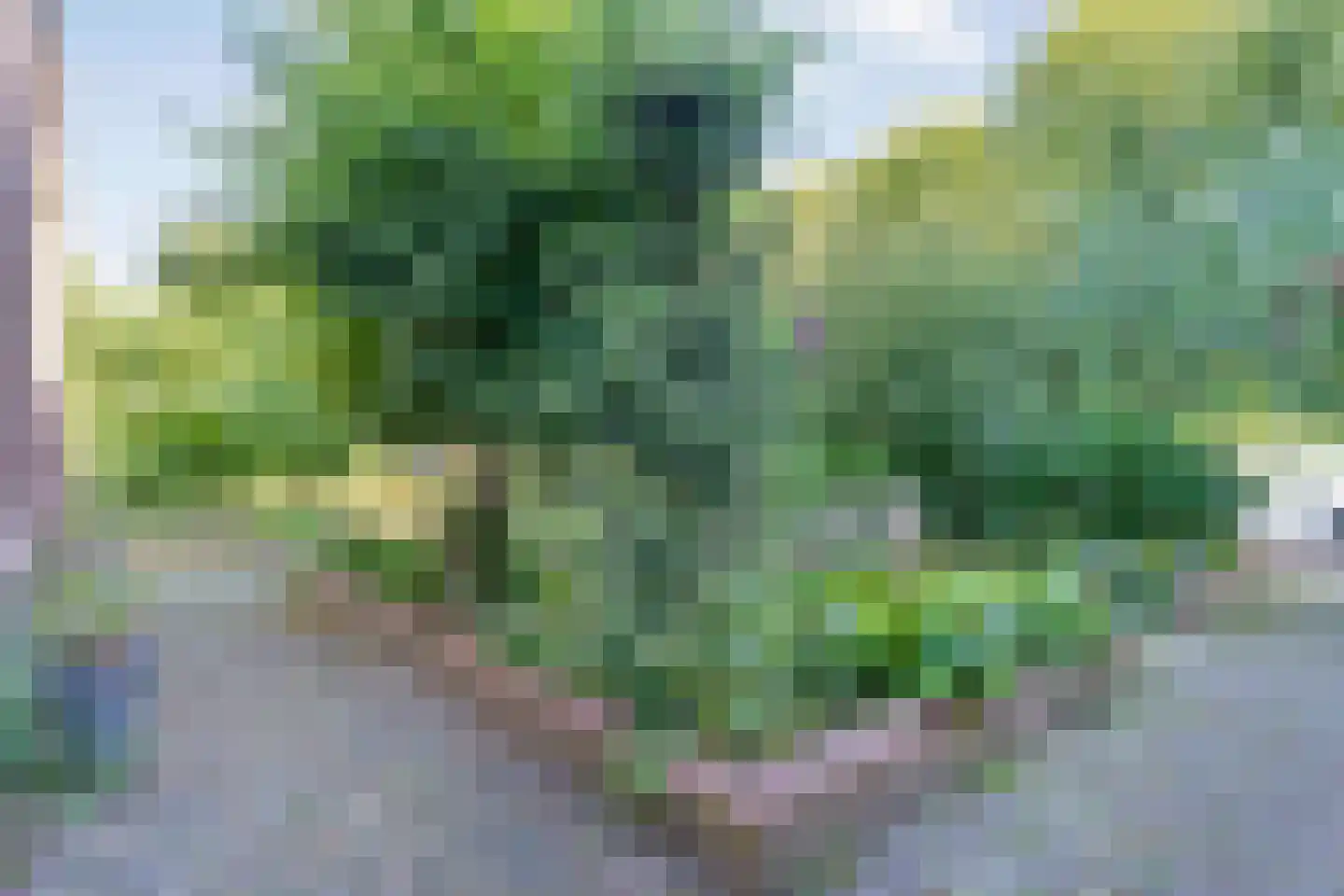 Beilerweg 38 Hooghalen thumbnail 41