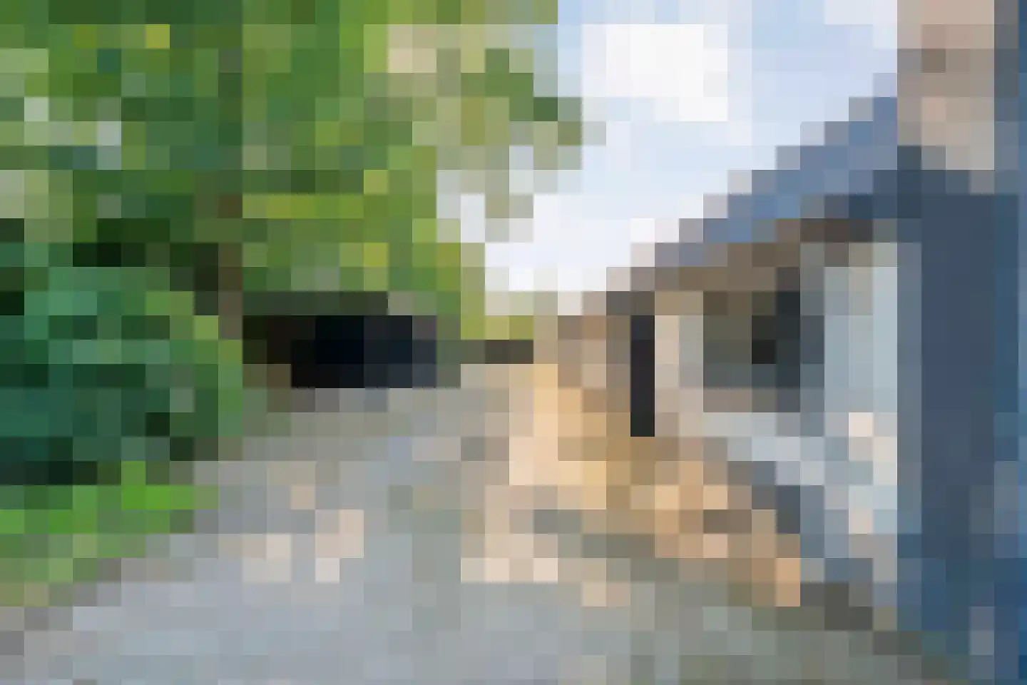 Beilerweg 38 Hooghalen thumbnail 45