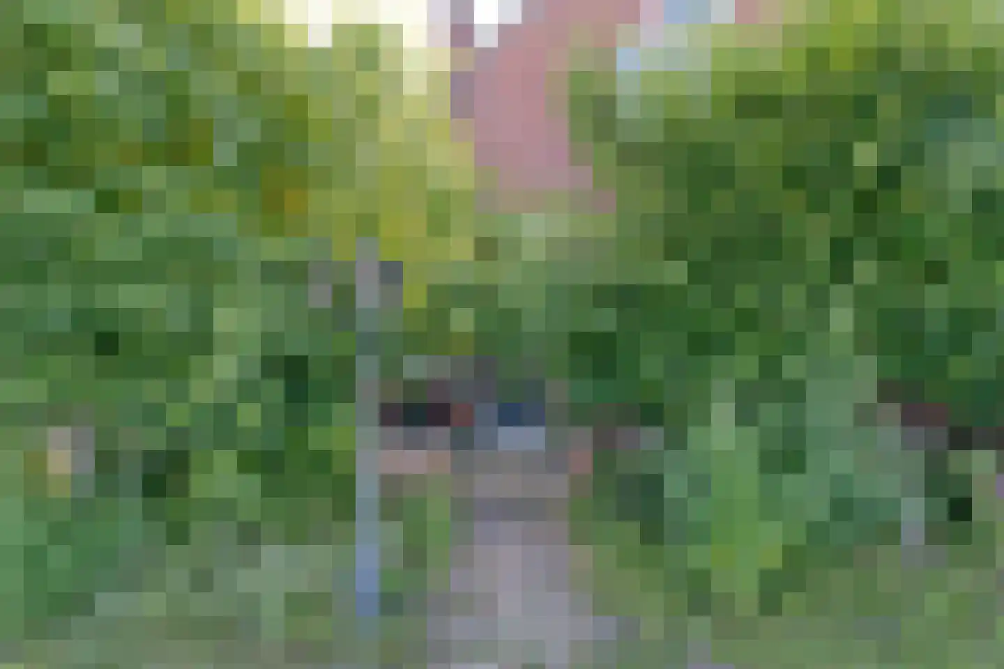 Beilerweg 38 Hooghalen thumbnail 5