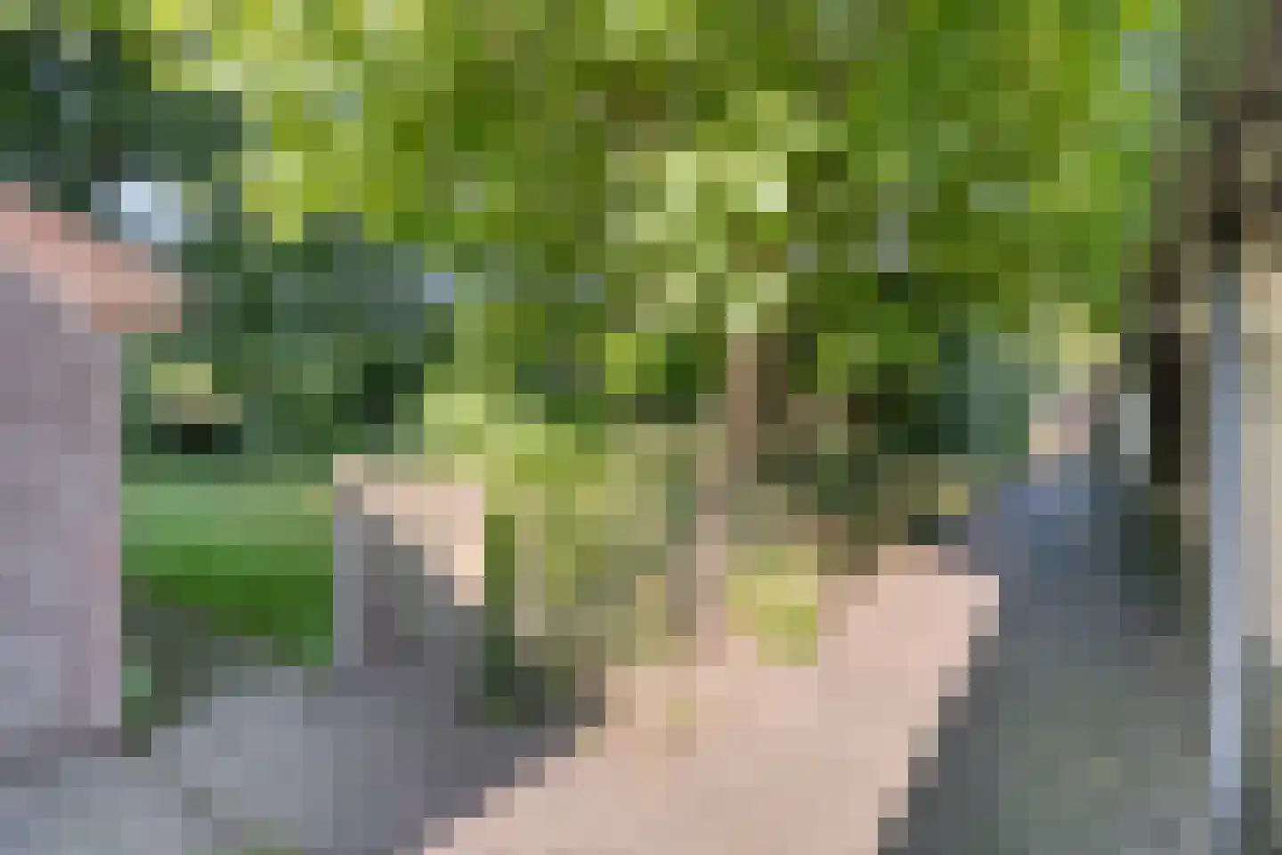 Beilerweg 38 Hooghalen thumbnail 51