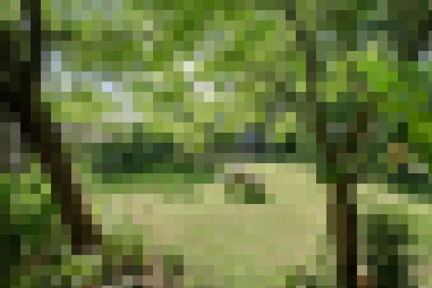Beilerweg 38 Hooghalen thumbnail 52