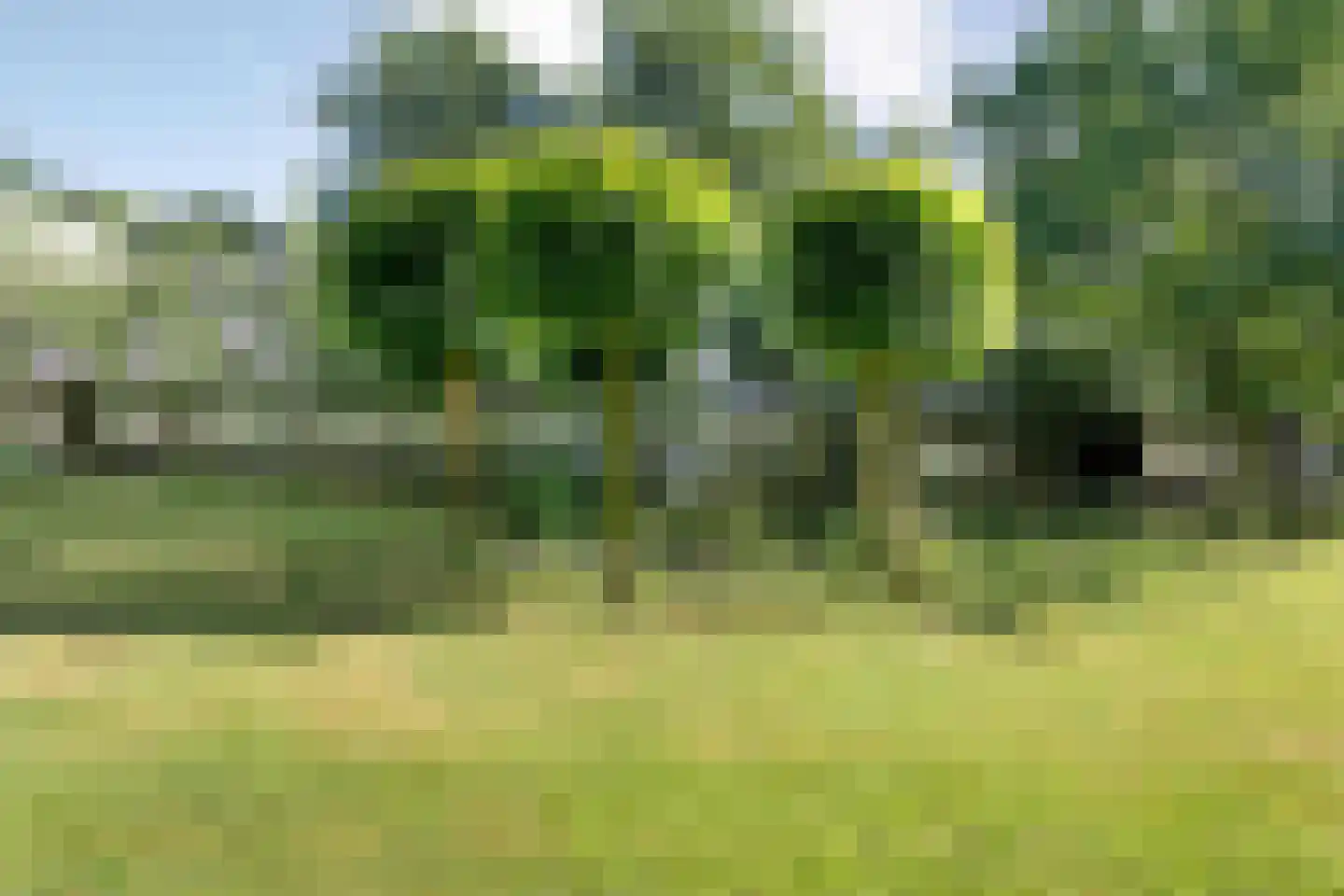 Beilerweg 38 Hooghalen thumbnail 55