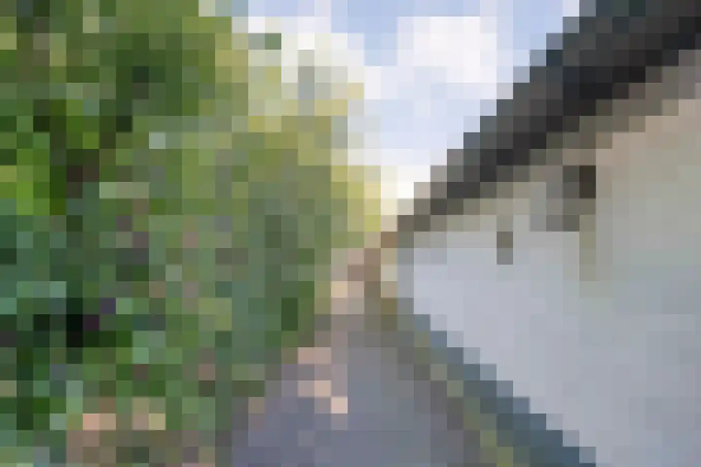 Beilerweg 38 Hooghalen thumbnail 57