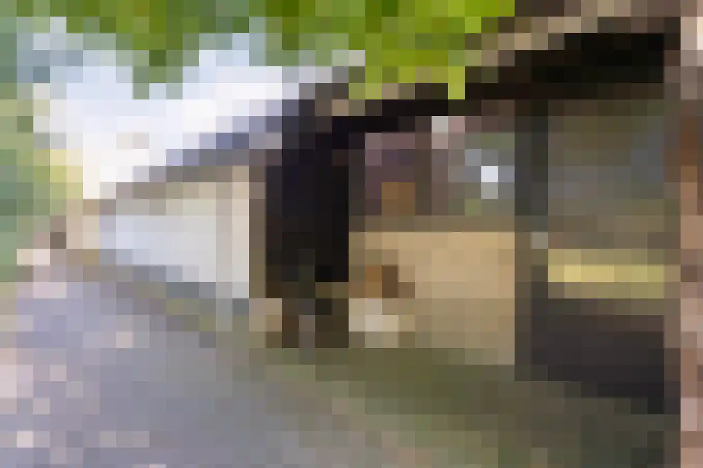 Beilerweg 38 Hooghalen thumbnail 58