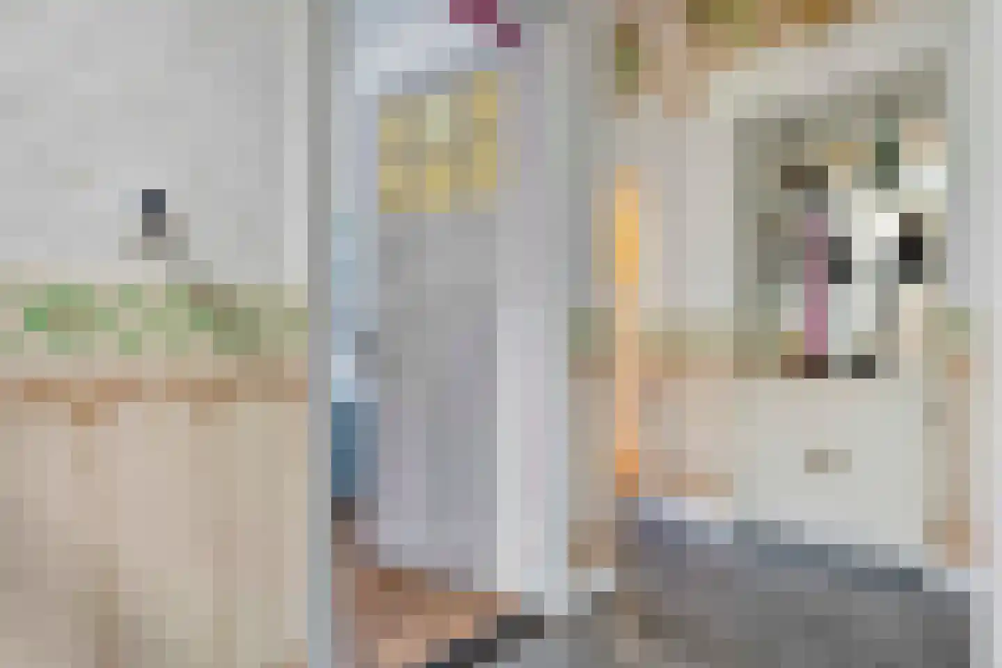 Beilerweg 38 Hooghalen thumbnail 6
