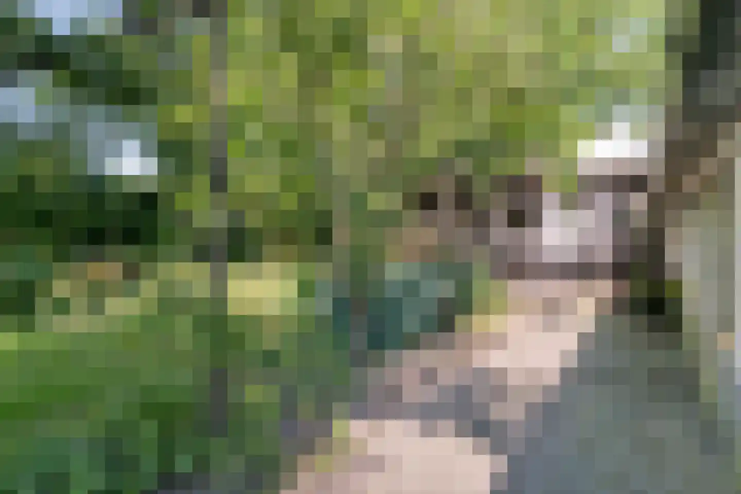 Beilerweg 38 Hooghalen thumbnail 60