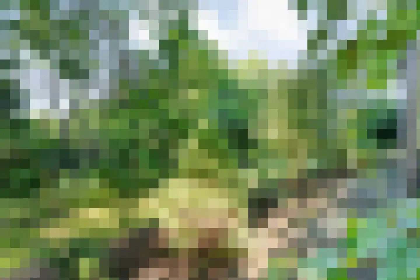 Beilerweg 38 Hooghalen thumbnail 63