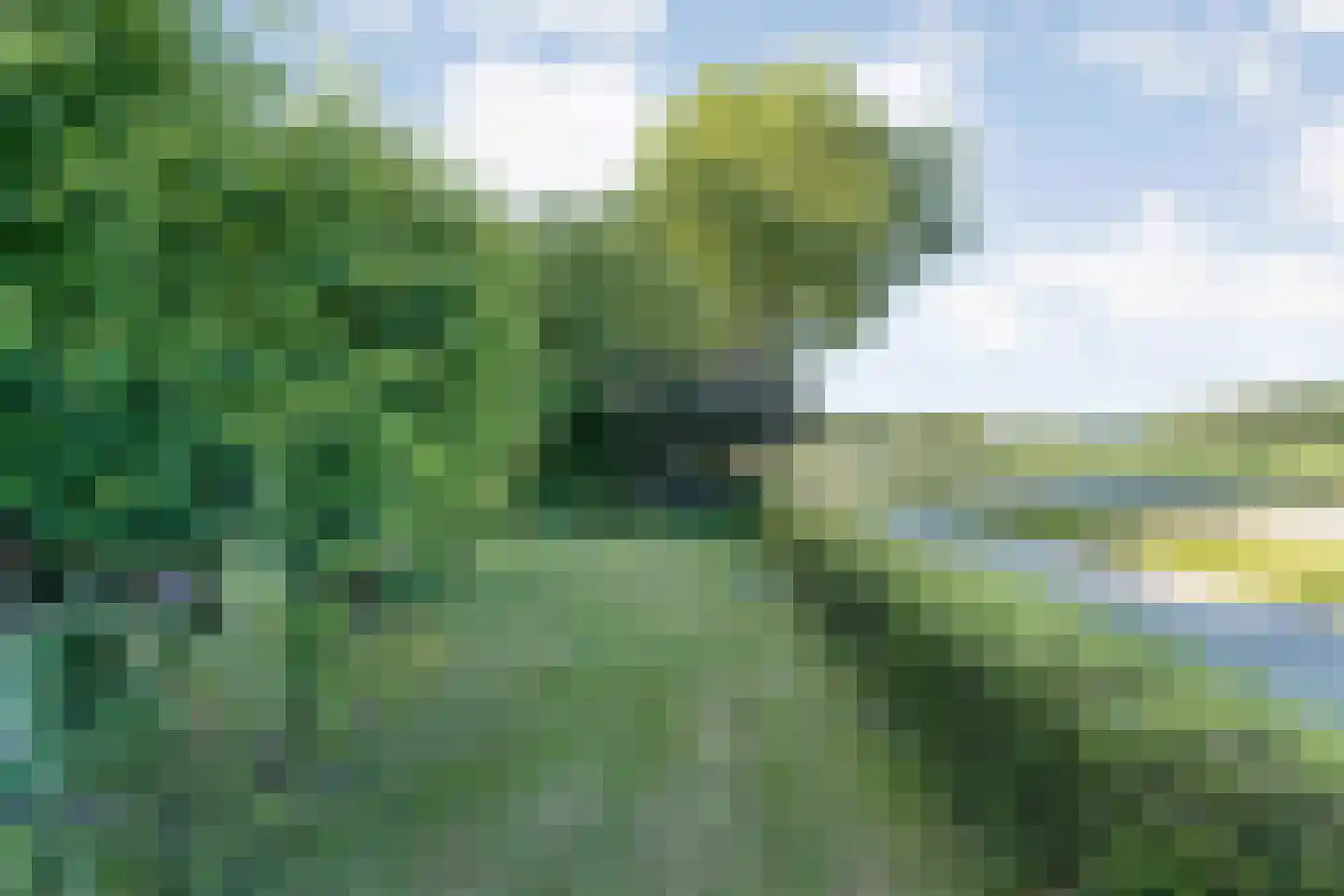 Beilerweg 38 Hooghalen thumbnail 65