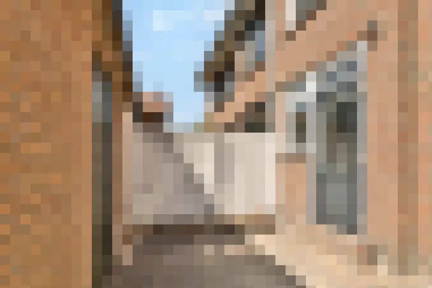 Beinemastraat 3 Dordrecht thumbnail 12