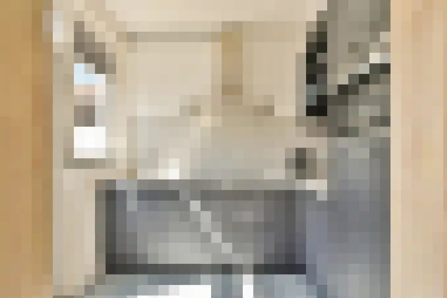 Beinemastraat 3 Dordrecht thumbnail 7