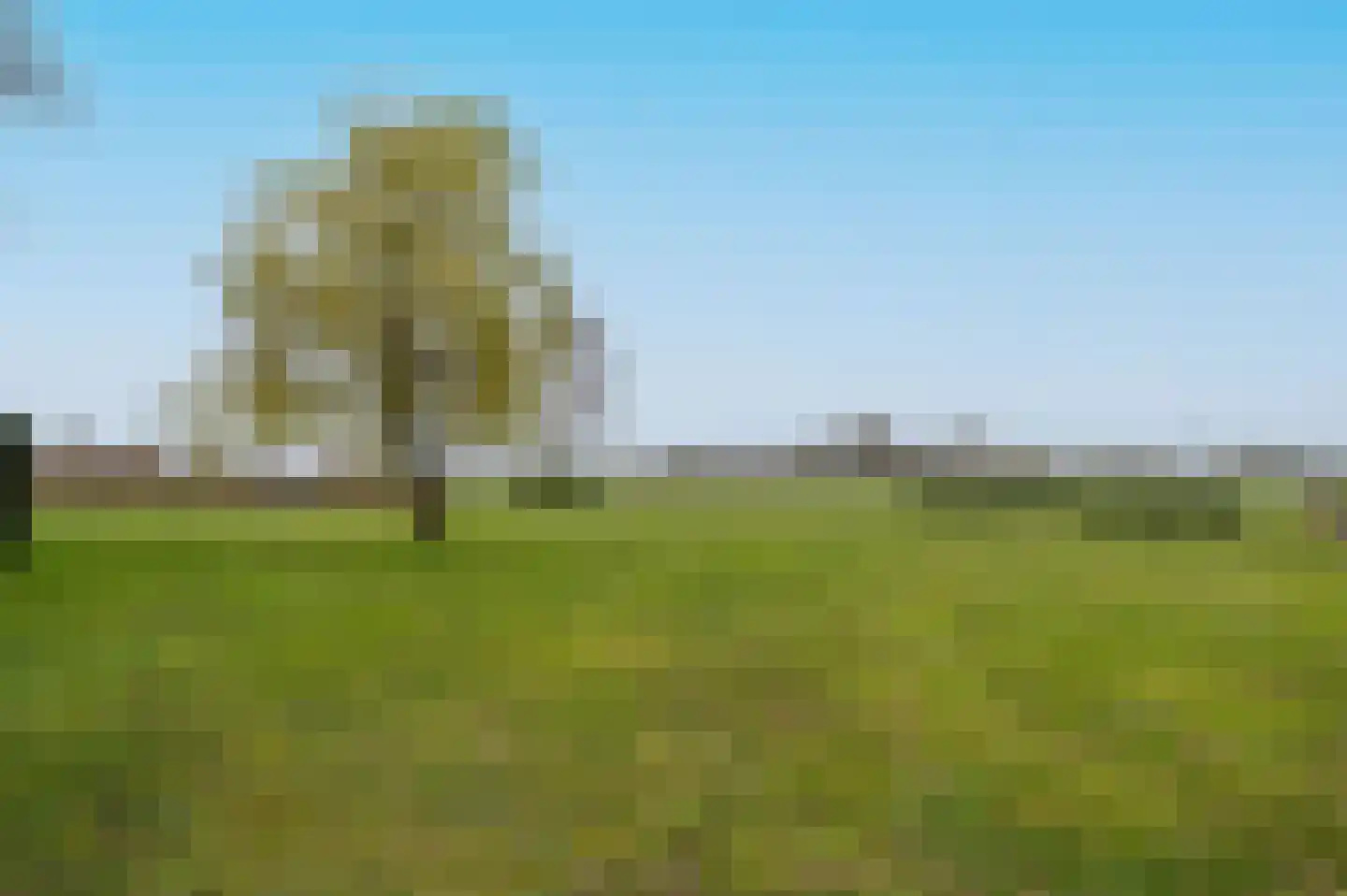 Beitelweg 20 Putten thumbnail 56