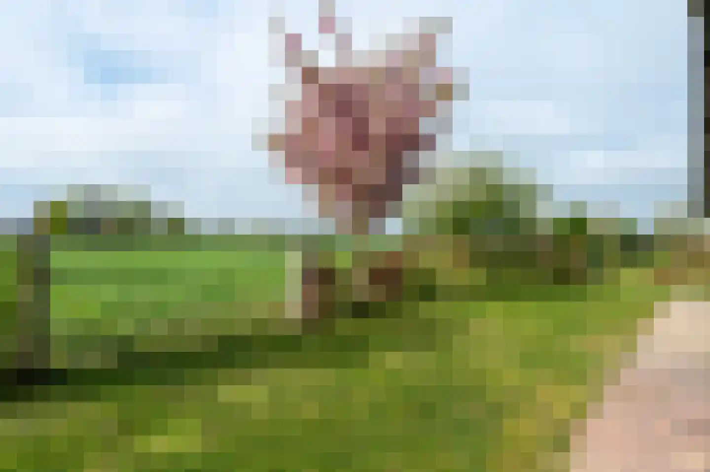 Beitelweg 20 Putten thumbnail 61