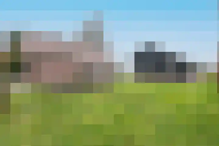 Beitelweg 20 Putten thumbnail 62