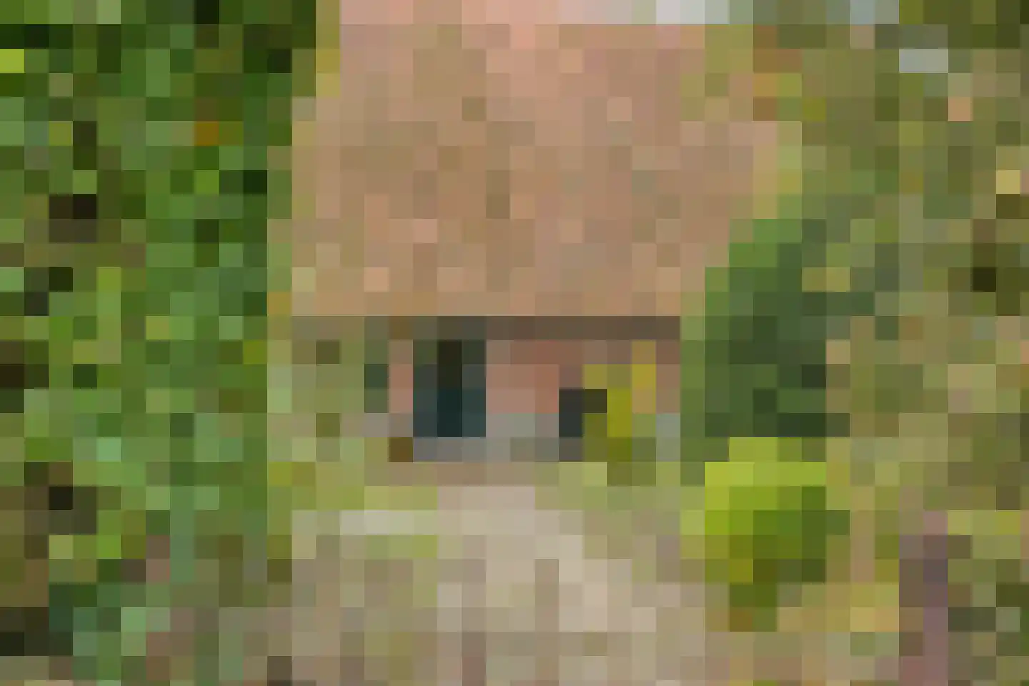 Beitelweg 7 Winterswijk Meddo thumbnail 4