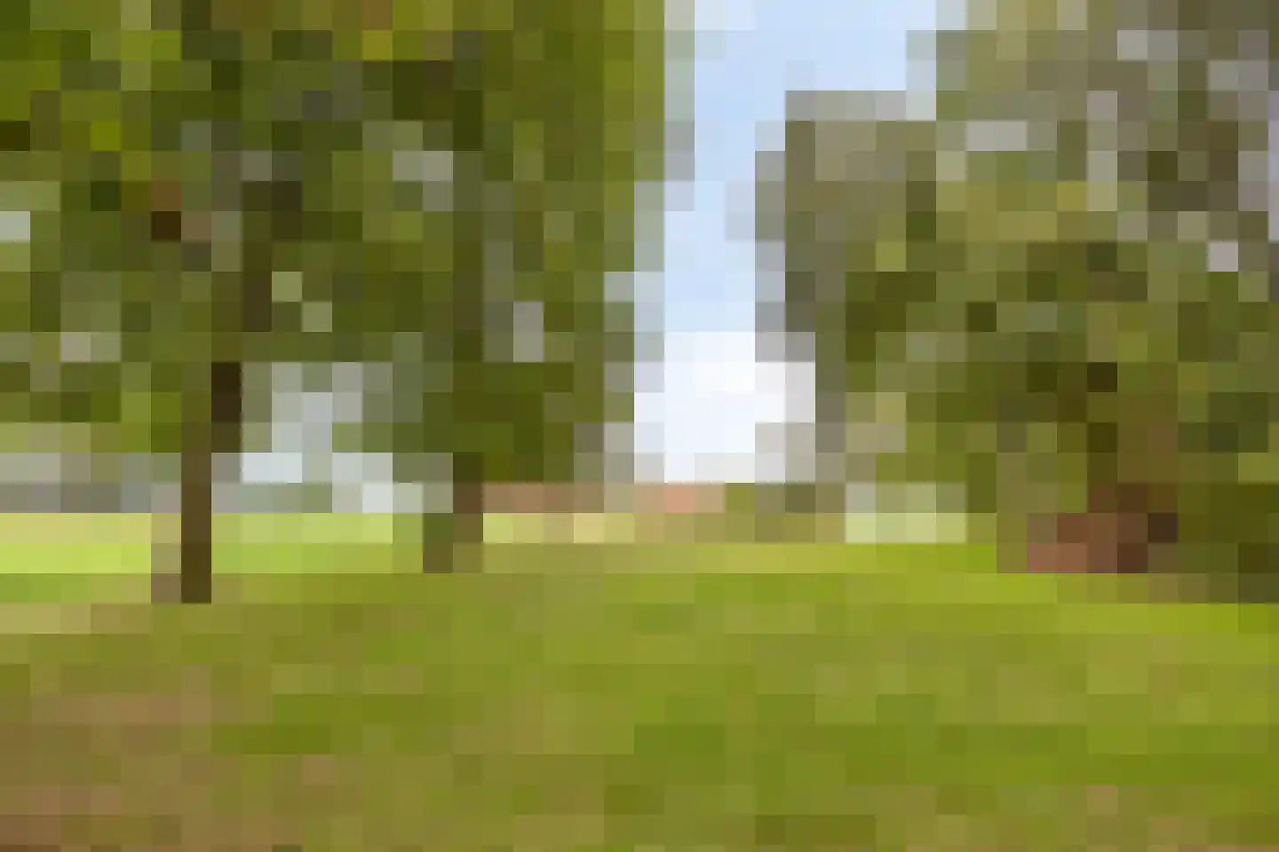 Beitelweg 7 Winterswijk Meddo thumbnail 52