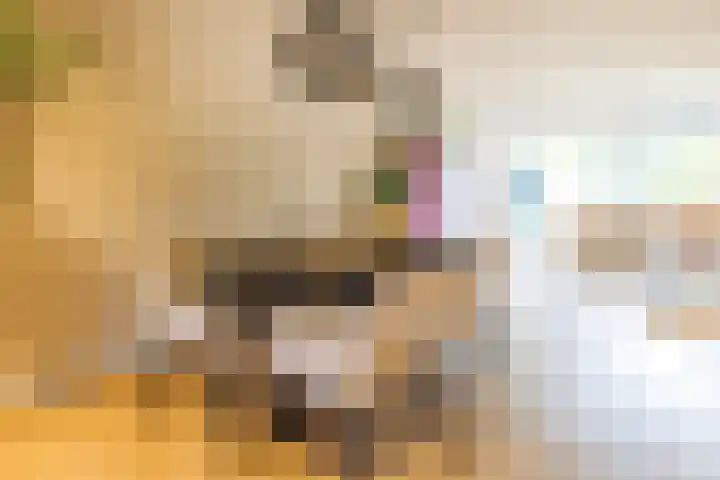 Beitserijstraat 12 Gaanderen thumbnail 12