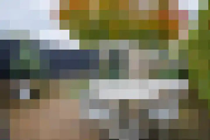 Beitserijstraat 12 Gaanderen thumbnail 13