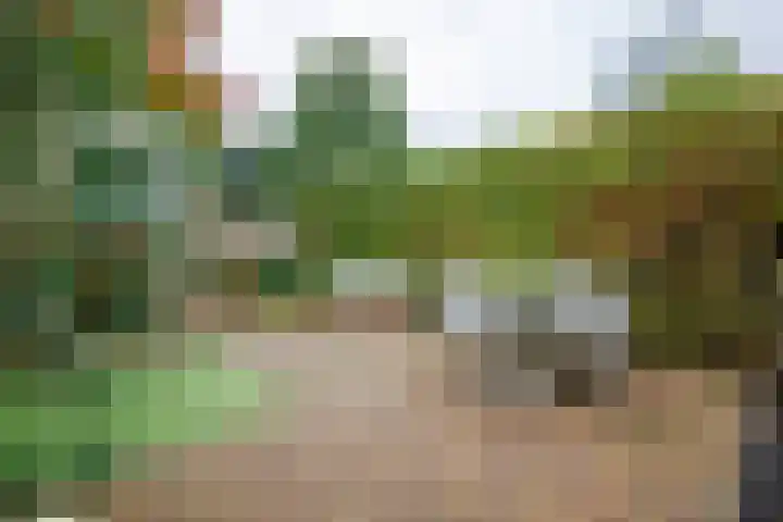 Beitserijstraat 12 Gaanderen thumbnail 14