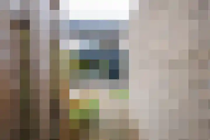 Beitserijstraat 12 Gaanderen thumbnail 16
