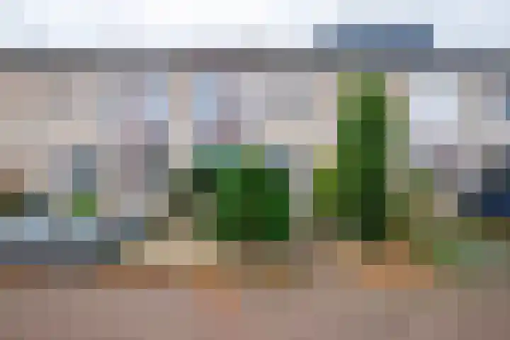 Beitserijstraat 12 Gaanderen thumbnail 17