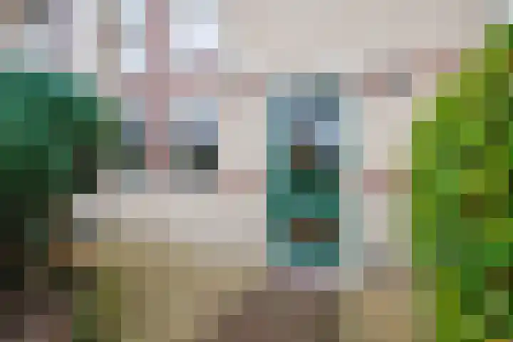 Beitserijstraat 12 Gaanderen thumbnail 18