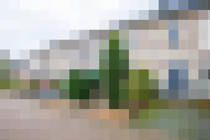 Beitserijstraat 12 Gaanderen thumbnail 34
