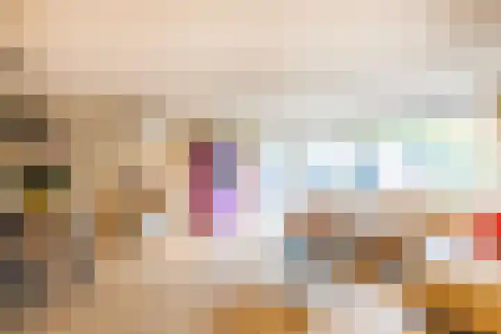 Beitserijstraat 12 Gaanderen thumbnail 4