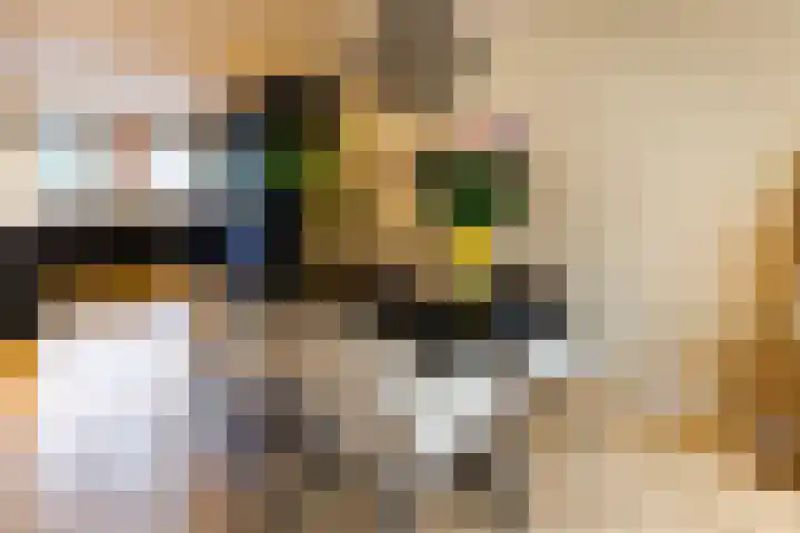 Beitserijstraat 12 Gaanderen thumbnail 7