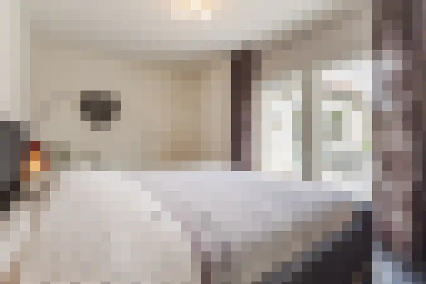 Beitserijstraat 17 Gaanderen thumbnail 33