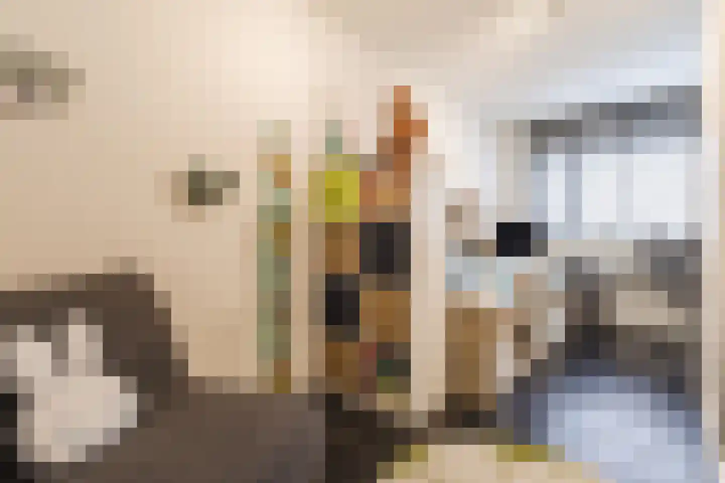 Beitserijstraat 17 Gaanderen thumbnail 34
