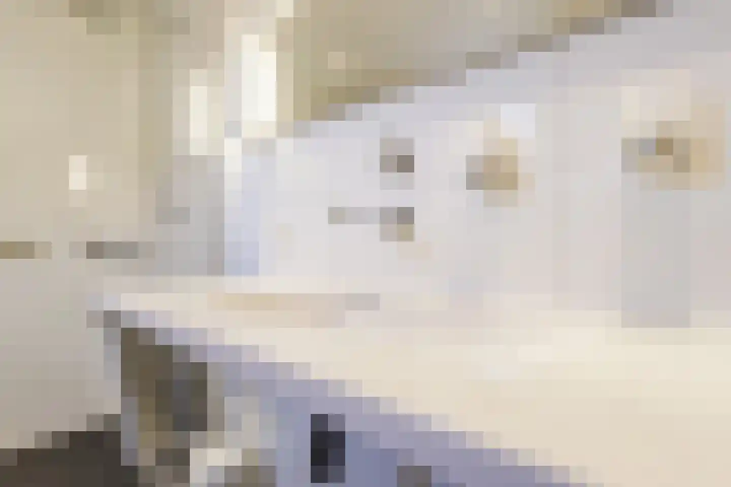 Beitserijstraat 17 Gaanderen thumbnail 40