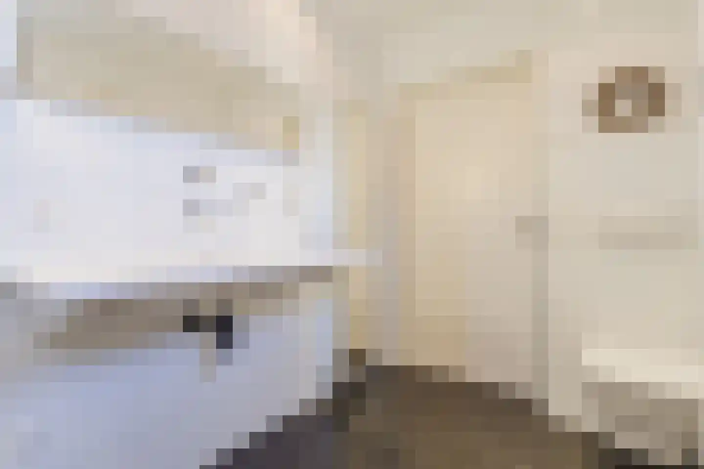 Beitserijstraat 17 Gaanderen thumbnail 41