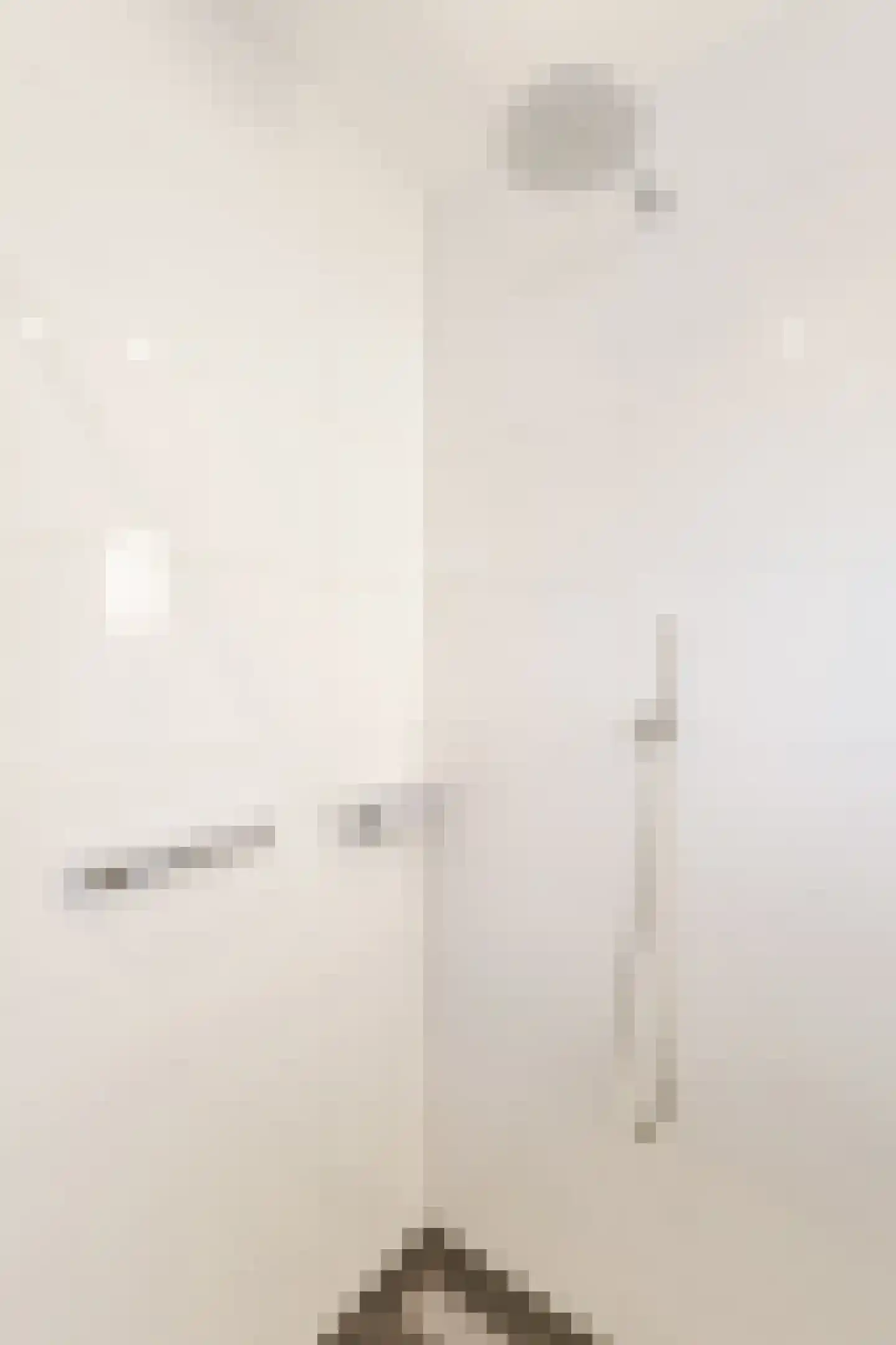 Beitserijstraat 17 Gaanderen thumbnail 43