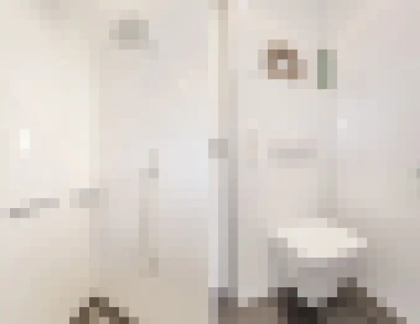 Beitserijstraat 17 Gaanderen thumbnail 46