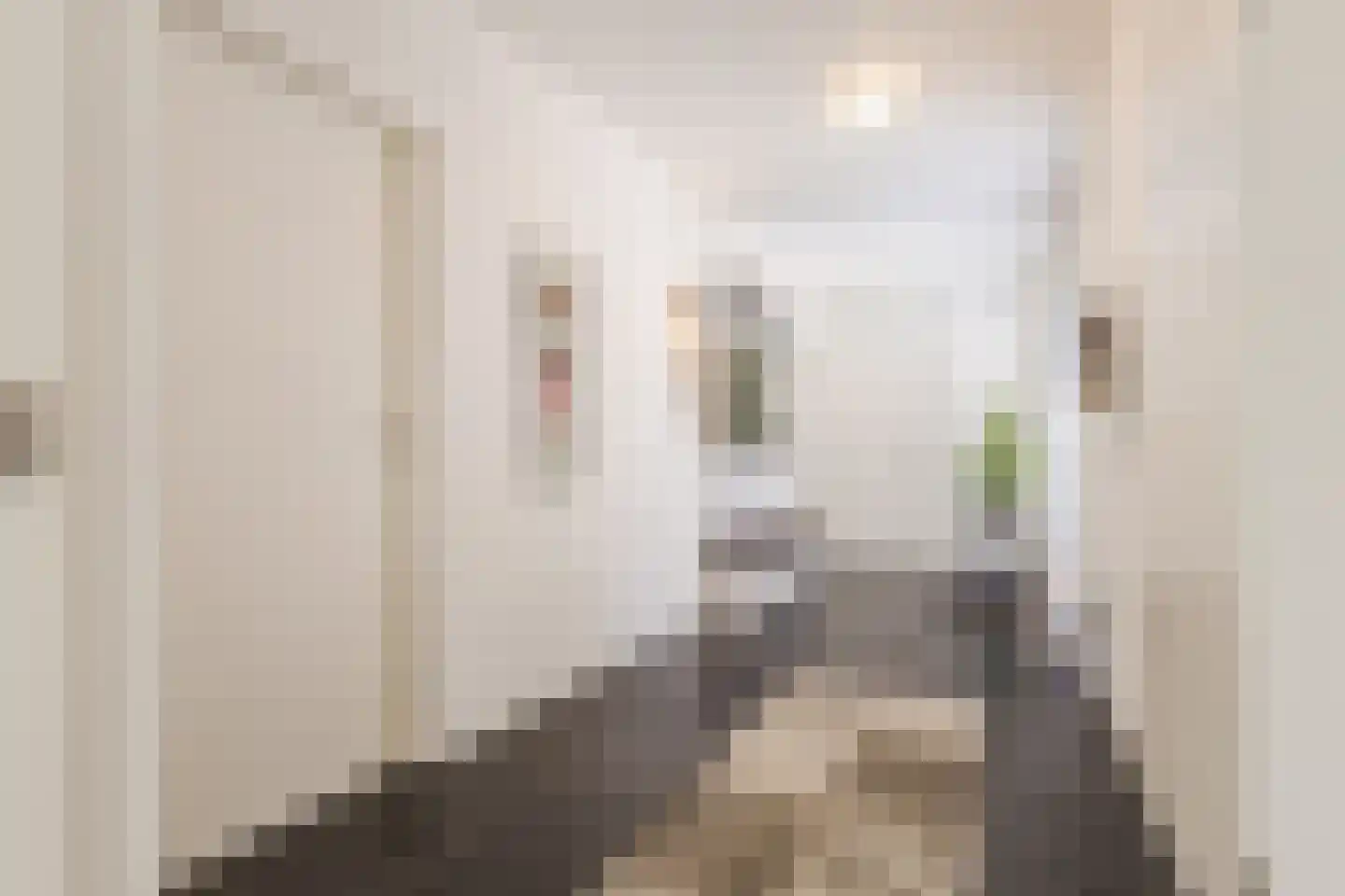 Beitserijstraat 17 Gaanderen thumbnail 9
