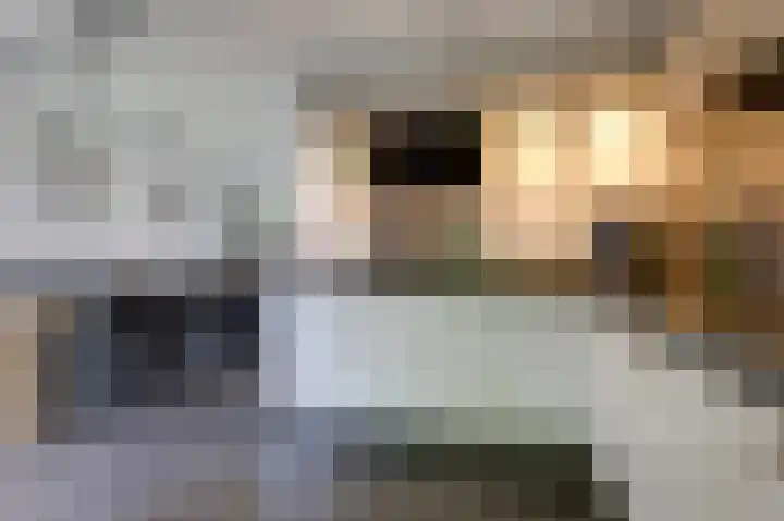 Beitserijstraat 26 Gaanderen thumbnail 20