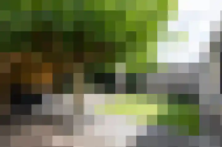Beitserijstraat 26 Gaanderen thumbnail 26