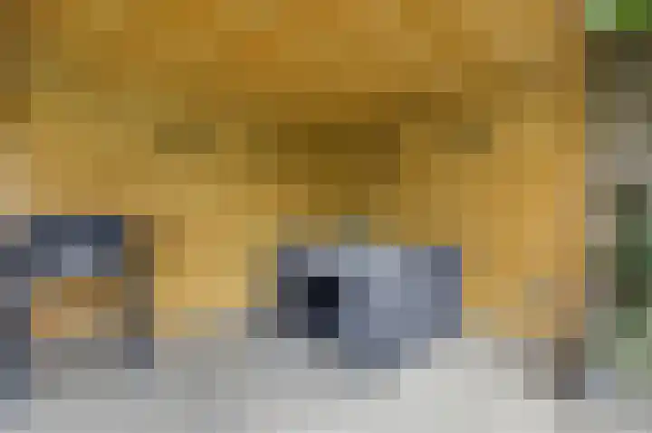 Beitserijstraat 26 Gaanderen thumbnail 30