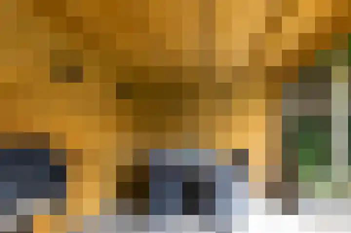 Beitserijstraat 26 Gaanderen thumbnail 31