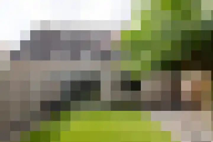 Beitserijstraat 26 Gaanderen thumbnail 33