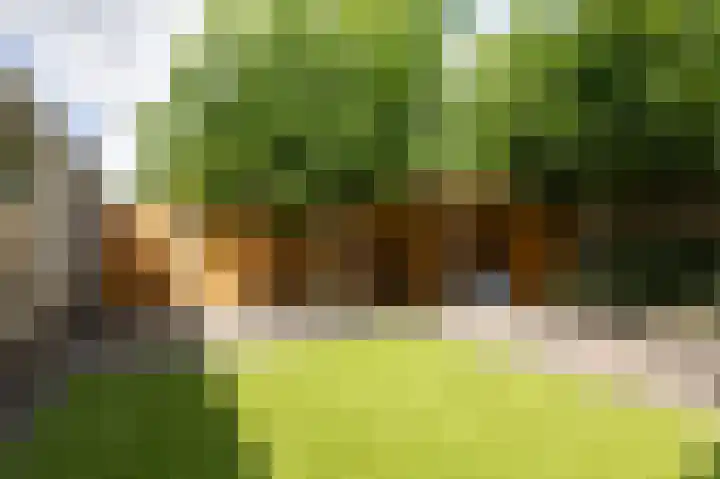 Beitserijstraat 26 Gaanderen thumbnail 35
