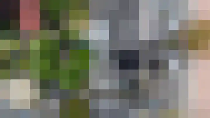 Beitserijstraat 26 Gaanderen thumbnail 36