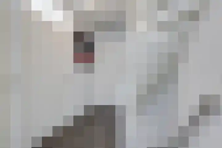 Beitserijstraat 26 Gaanderen thumbnail 41