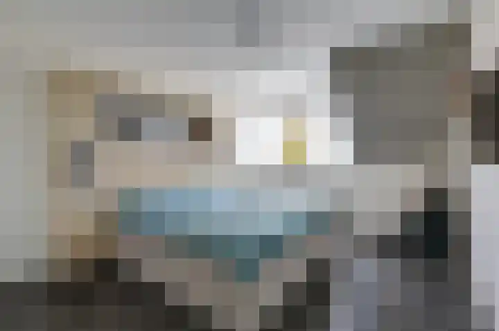 Beitserijstraat 26 Gaanderen thumbnail 42