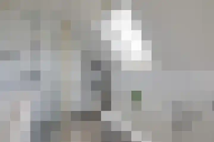 Beitserijstraat 26 Gaanderen thumbnail 48