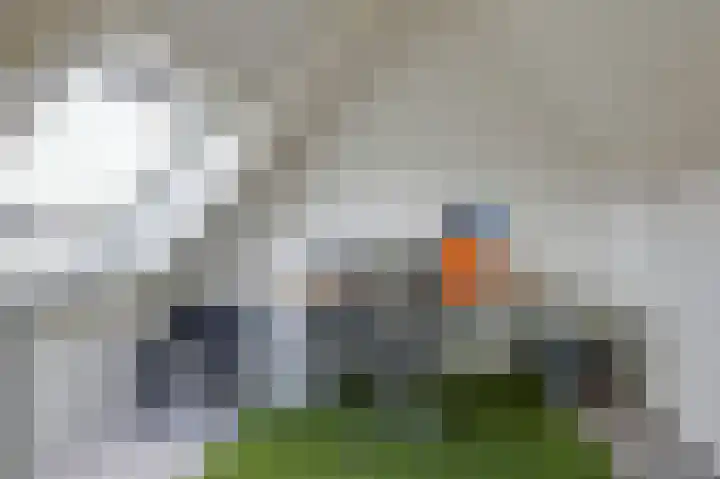 Beitserijstraat 26 Gaanderen thumbnail 54